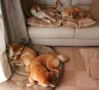 爱游戏智能体验-国家队欧国联小组战报出炉，直追欧锦赛桂冠，欧国联小组赛的优胜者