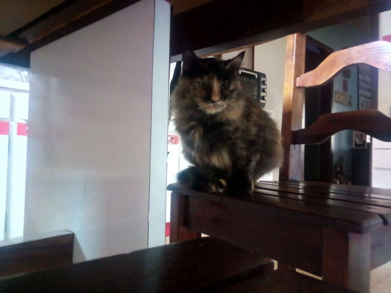 爱游戏官网首页-中国香港队赛制解析:团体比赛中如何精准配合与分工,香港队伍