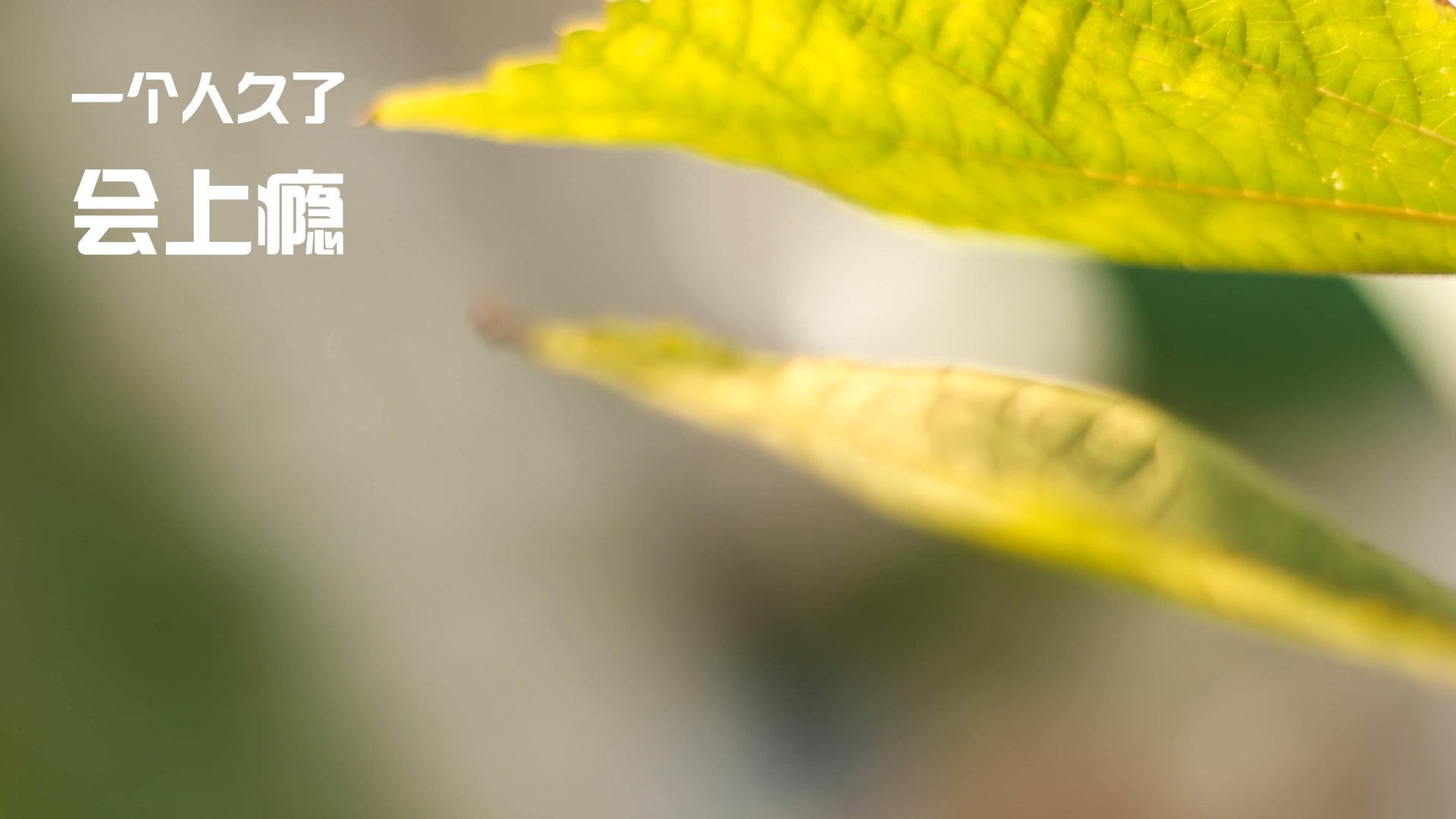 爱游戏官方入口-五大联赛是否建立位置互换机制加强球员战术弹性,五大联赛地位